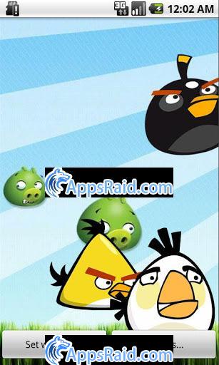 Zamob Angry Birds Live Wallpaper