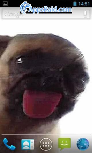 Zamob Dog Licker Live Wallpaper FREE