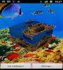 Zamob 3D Fish live wallpaper