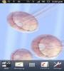 Zamob 3D Jellyfish HD Live Wallpaper
