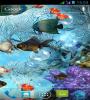 Zamob Aquarium 3D Live Wallpaper