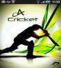 Zamob C4 Cricket