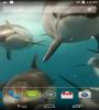 Zamob Dolphins Live Wallpaper