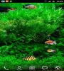Zamob Fish Tank 3d Live Wallpaper