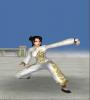 Zamob Kung Fu 3D - Lian Huan Quan
