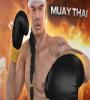 Zamob Muay thai - Fighting clash