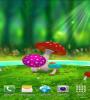Zamob Mushrooms Livewallpaper