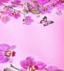 Zamob Pink Flowers Live Wallpaper