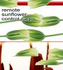 Zamob remote sunflower control carp