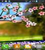 Zamob Spring Flowers 3D Parallax HD