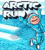 Zamob Arctic Run