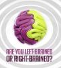 Zamob Are you left-brained or right-brained