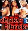 Zamob Chicks with Bricks