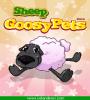 Zamob Goosy pets Sheep