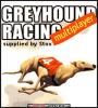 Zamob Greyhound racing multiplayer