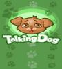 Zamob Talking dog