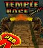 Zamob Temple racer Puzzle
