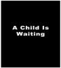 A Child Is Waiting (1963) FZtvseries