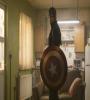 Emily VanCamp at an event for Captain America: Civil War (2016) FZtvseries