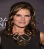 Brooke Shields at event of Days and Nights (2014) FZtvseries
