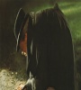 Jack the Ripper (1976) FZtvseries