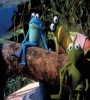 Kermit's Swamp Years (2002) FZtvseries