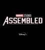 Marvel Studios: Assembled (2021) FZtvseries