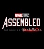 Paul Bettany and Elizabeth Olsen in Marvel Studios: Assembled (2021) FZtvseries