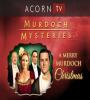 Don McCutcheon in Murdoch Mysteries (2008) FZtvseries