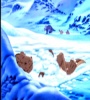 The Land Before Time VIII The Big Freeze 2001 FZtvseries