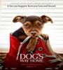 A Dogs Way Home 2019 FZtvseries