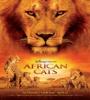 African Cats FZtvseries