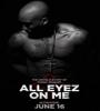 All Eyez on Me 2017 FZtvseries