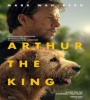 Arthur The King 2024 FZtvseries