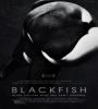 Blackfish FZtvseries