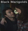 Black Marigolds 2013 FZtvseries