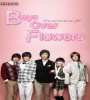 Boys Over Flowers FZtvseries