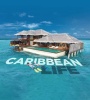 Caribbean Life FZtvseries