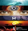 Cosmos - A Spacetime Odyssey FZtvseries