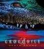Crocodile 2 Death Swamp 2002 FZtvseries