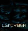 CSI Cyber FZtvseries