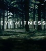 Eyewitness FZtvseries