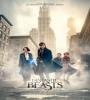Fantastic Beasts and Where to Find Them FZtvseries