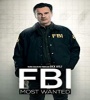 FBI Most Wanted FZtvseries