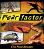 Fear Factor FZtvseries