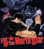 Fist Of The North Star 1986 FZtvseries