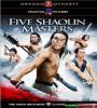 Five Shaolin Masters FZtvseries