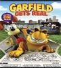Garfield Gets Real 2007 FZtvseries
