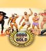 Gogo for the Gold FZtvseries