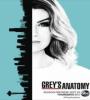Greys Anatomy FZtvseries